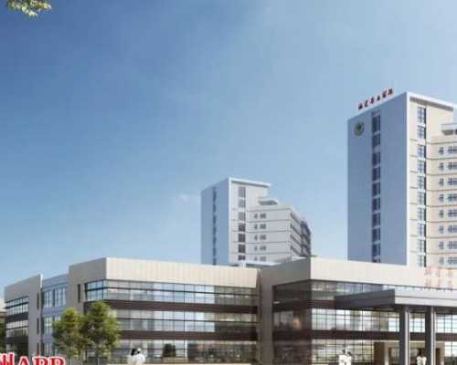 2026北京赴格鲁吉亚试管婴儿：如何选择靠谱机构与出行指南