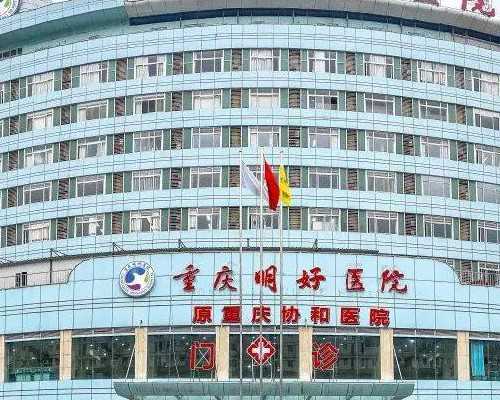 助力生殖：探寻高效试管婴儿之路