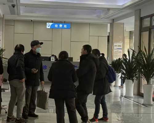 北京助孕优选：2026年北京试管婴儿指南及男孩胎囊数据解读