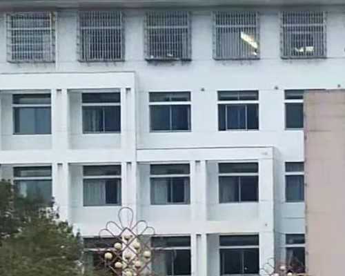 揭秘代孕机构内幕：医托被抓与助孕技术解析