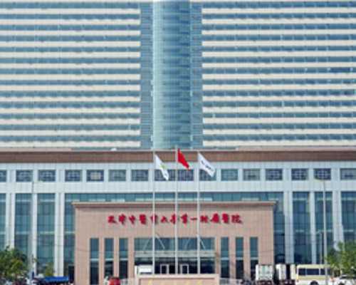 上海三代试管婴儿费用解析：高龄助孕与性别选择的全面指南