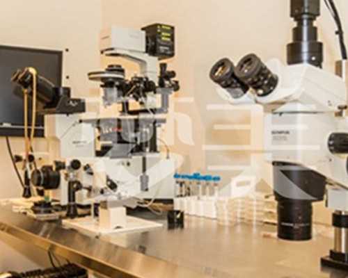 探秘北京与日本试管婴儿：助孕与代怀全攻略