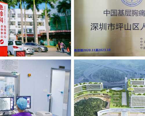 中国捐卵试管婴儿技术解读