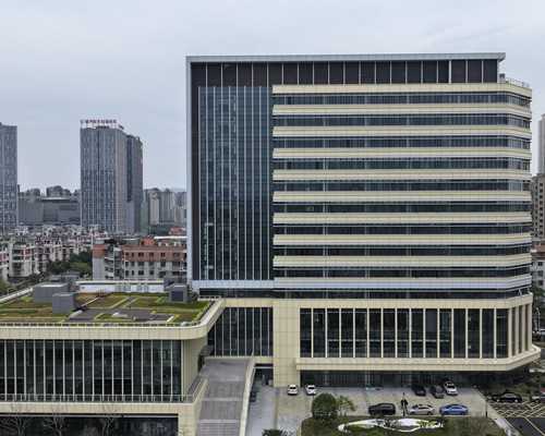 关于冻胚着床和二胎生育的经验分享