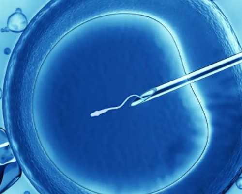 北京高龄供卵试管婴儿成功率分析及泰国试管助孕优势