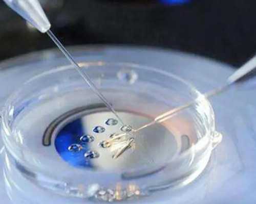 北京家圆医院助孕指南：了解代怀费用与医院优势